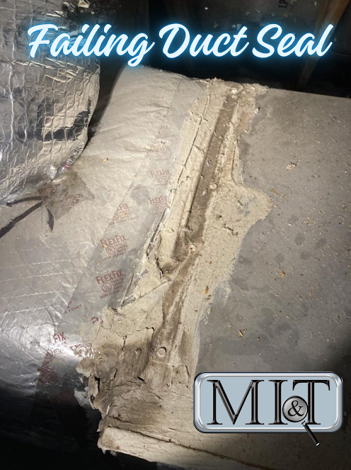 About mold assessment Chicagoland