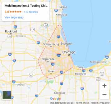 Gallery image 2 — professional mold inspection Chicago