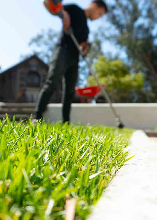 Gallery image 4 — outdoor living spaces San Marcos
