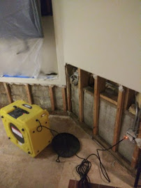 About residential mold testing in Lakeview
