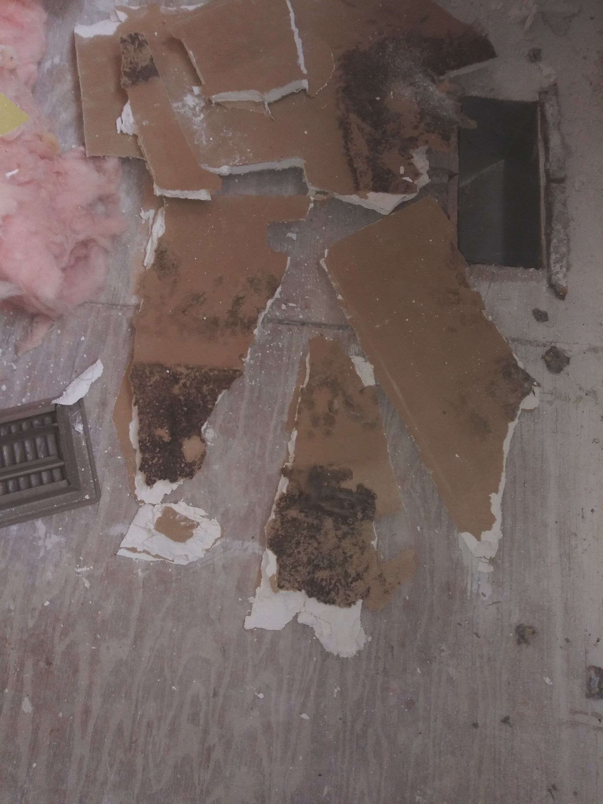 residential mold testing in Lakeview