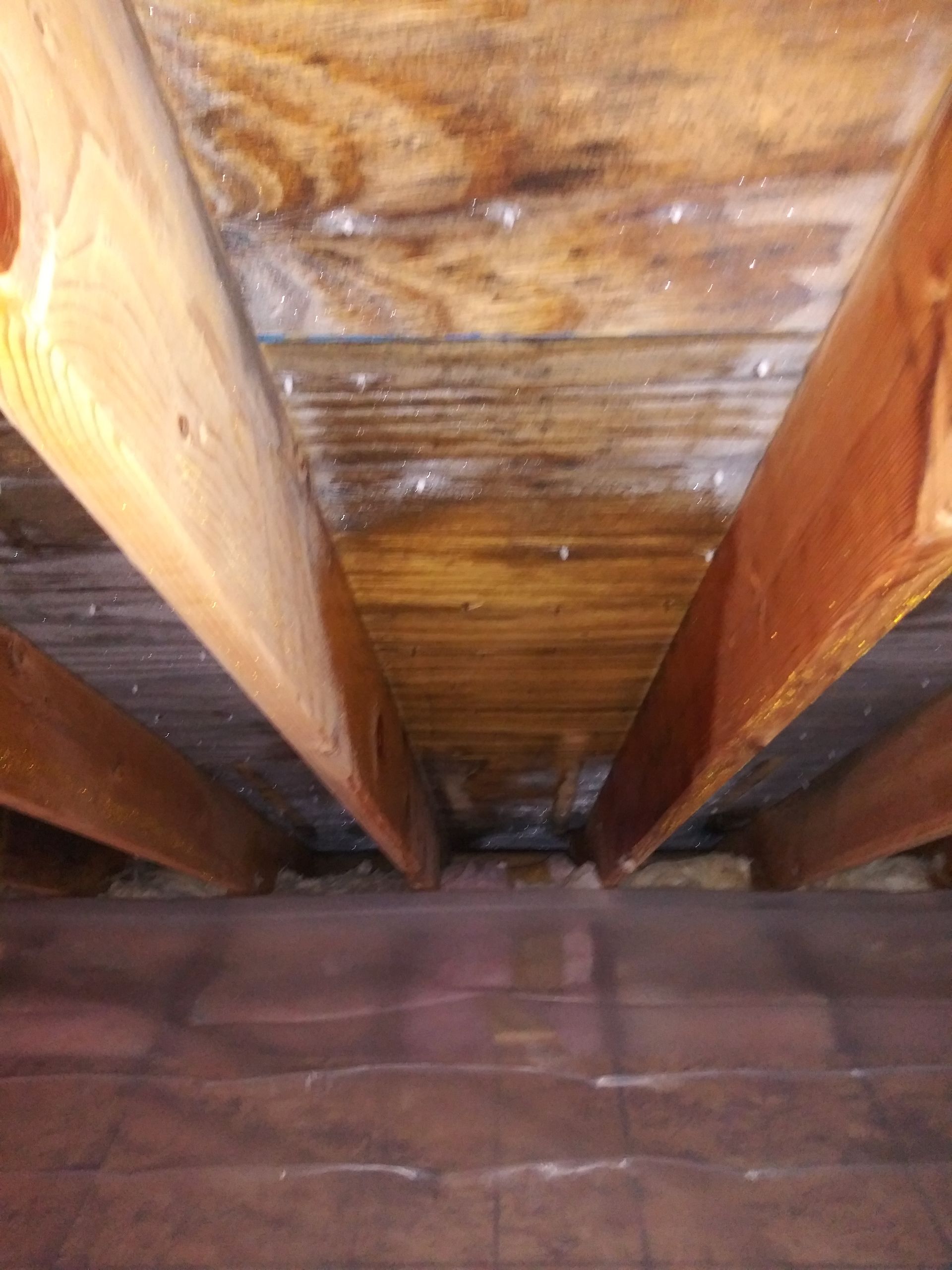 Gallery image 3 — residential mold testing in Lakeview