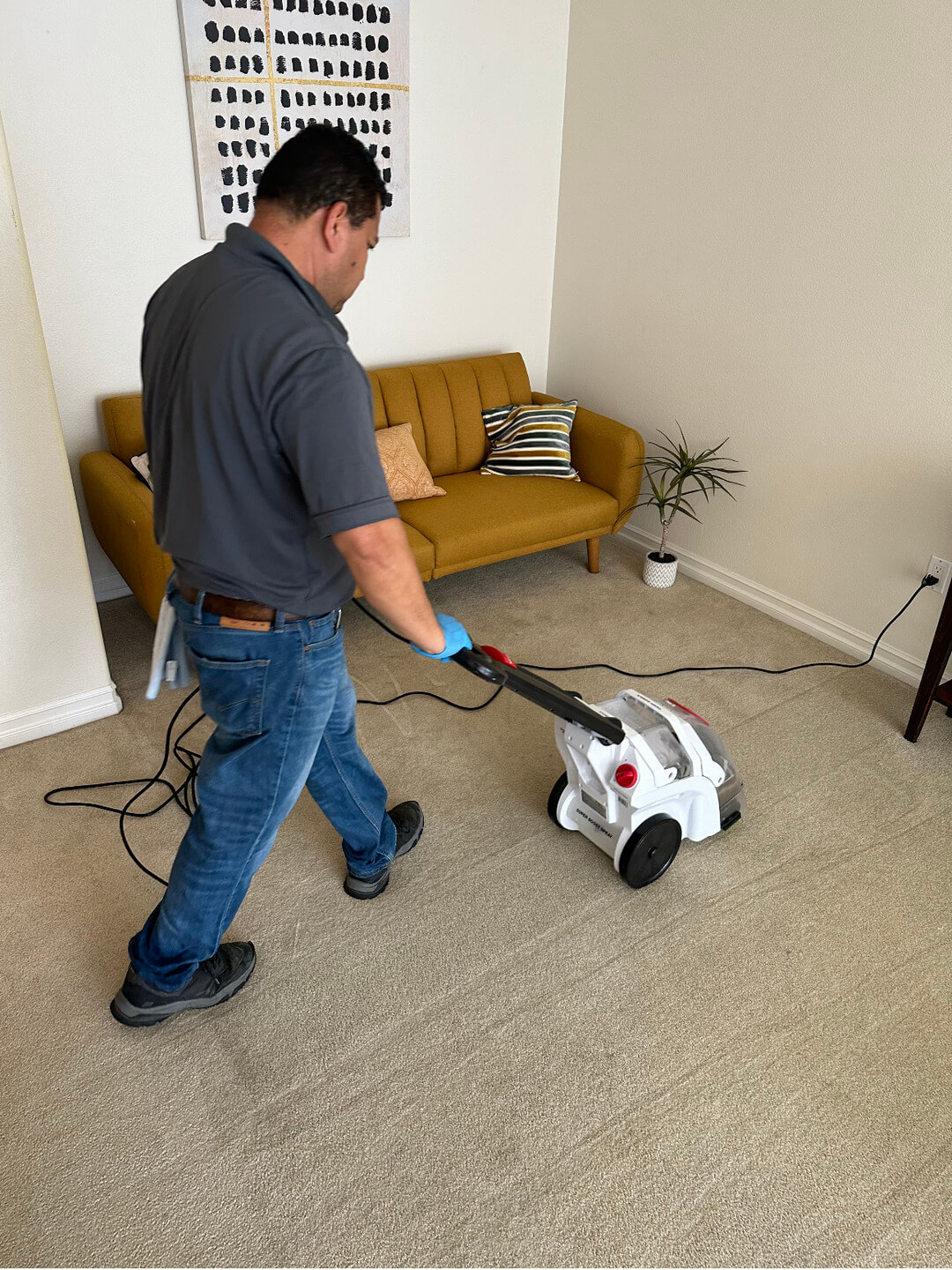 Gallery image 13 — one-time deep cleaning Gardena