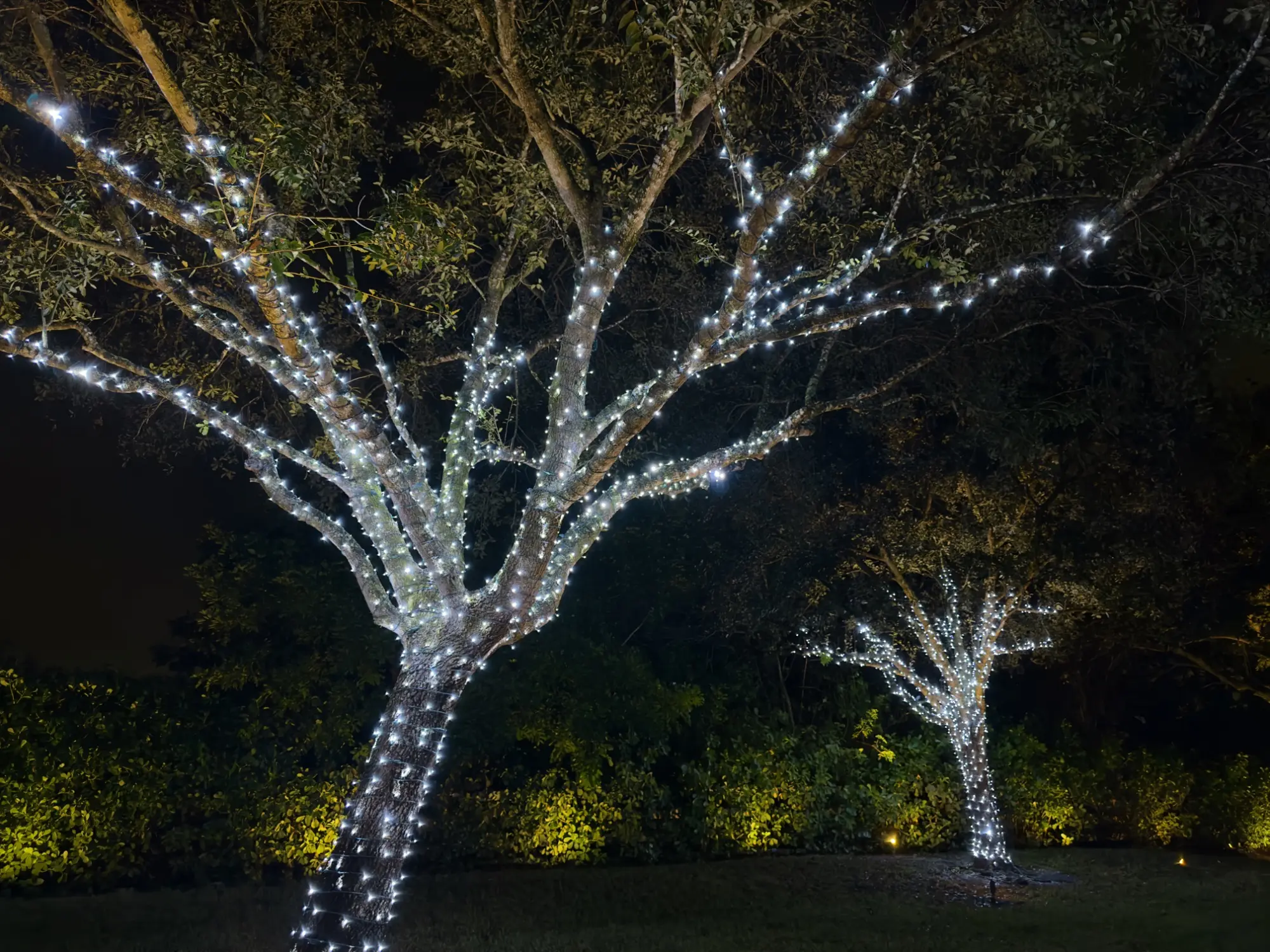 Gallery image 11 — residential landscape lighting Brite Nites | Holiday & Outdoor Lighting
