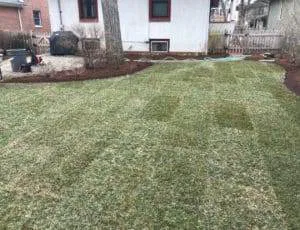 Gallery image 5 — tree service near me Glenview