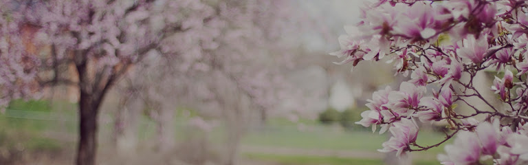 tree service near me Glenview