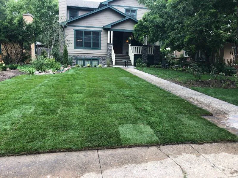 Gallery image 4 — tree service near me Glenview