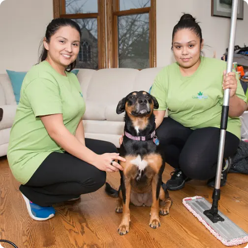 Gallery image 2 — move out cleaning near me