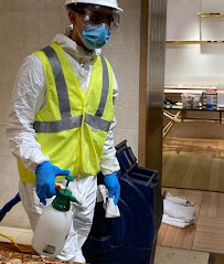 emergency mold remediation Chicago