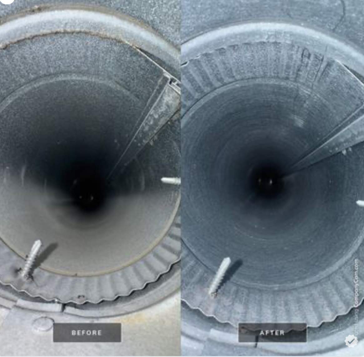 Gallery image 4 — IICRC certified firm Chicago