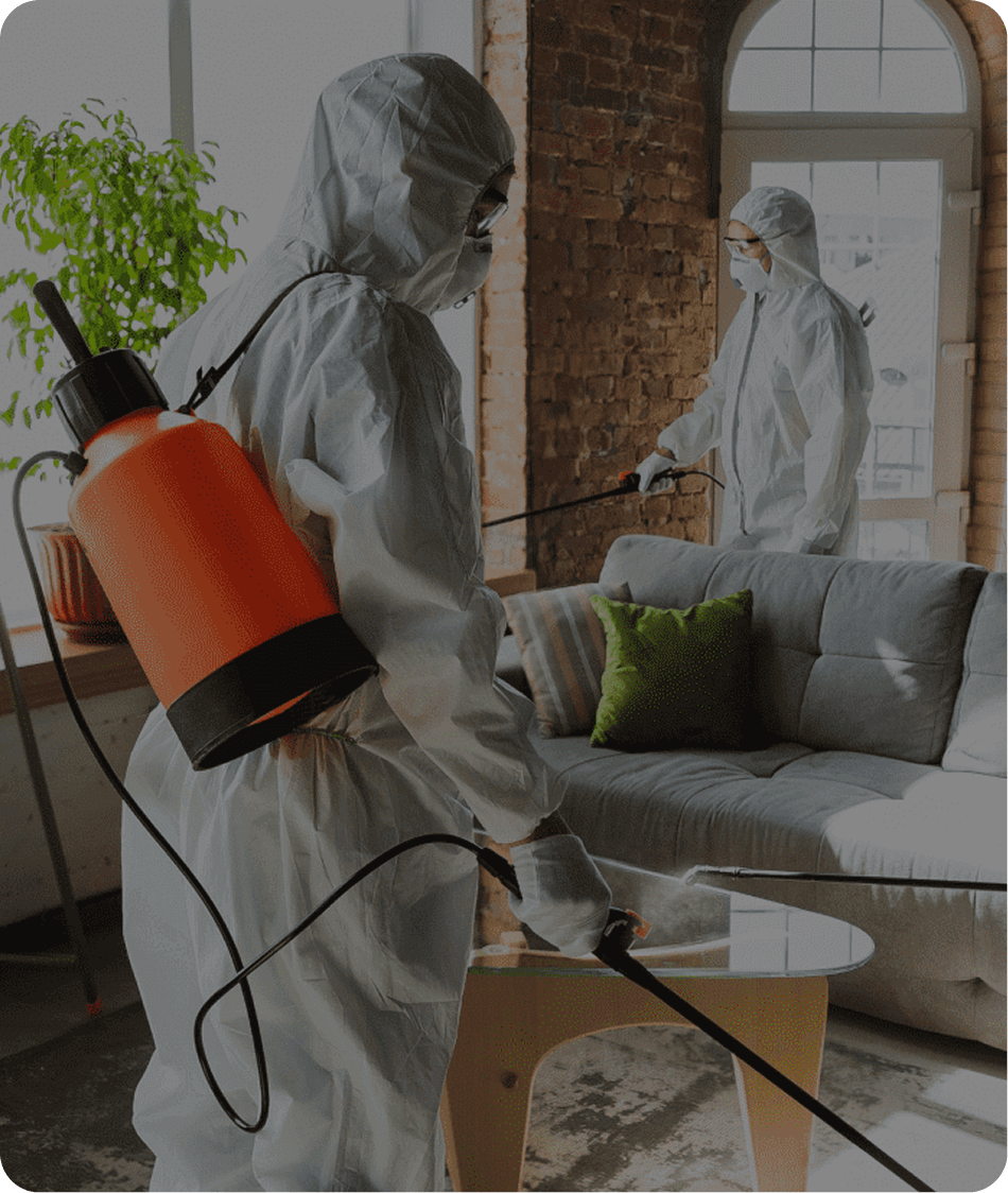 medically sound remediation near me