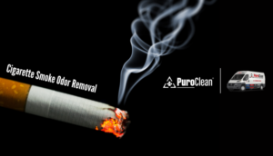 Gallery image 5 — PuroClean of Victor Heights