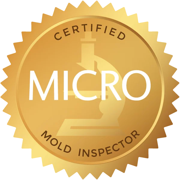 surface mold sampling Los Angeles