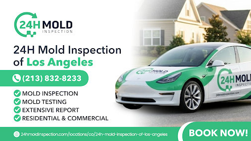 About best mold testing service in Los Angeles