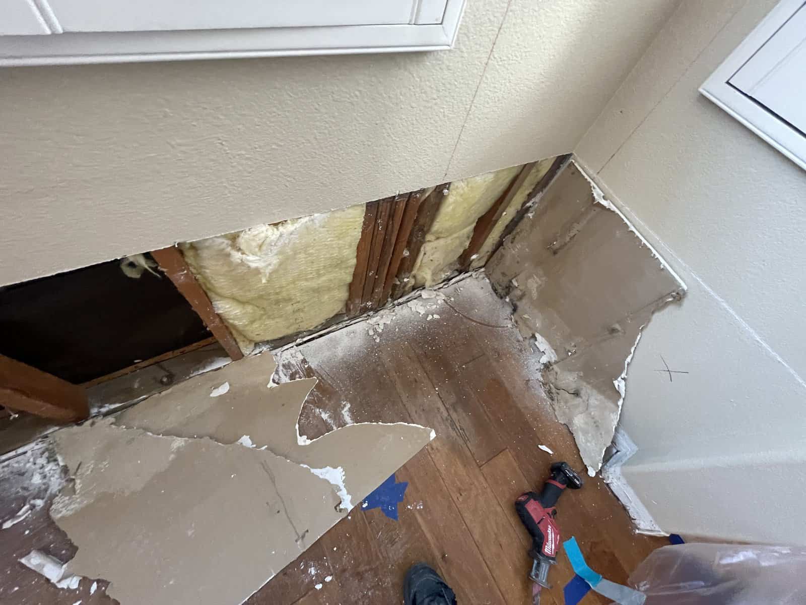 mold remediation services Coronado