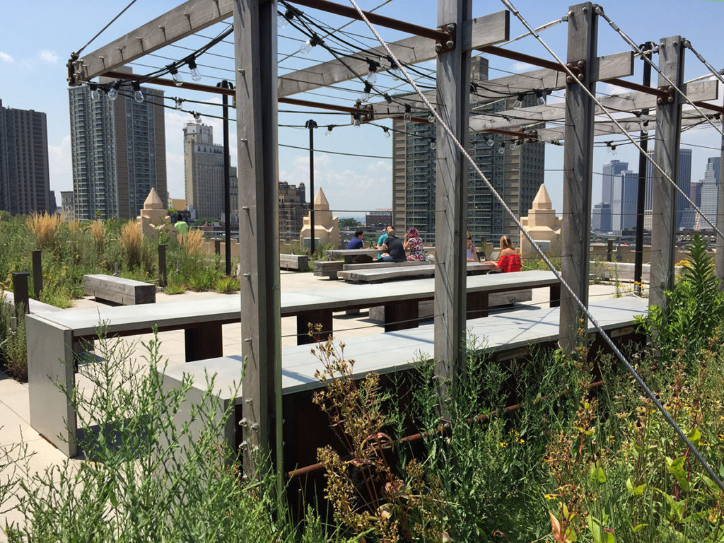 Gallery image 5 — resilience design firm RGR Landscape
