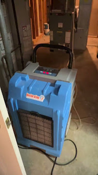 mold removal Chicago Lincoln Park