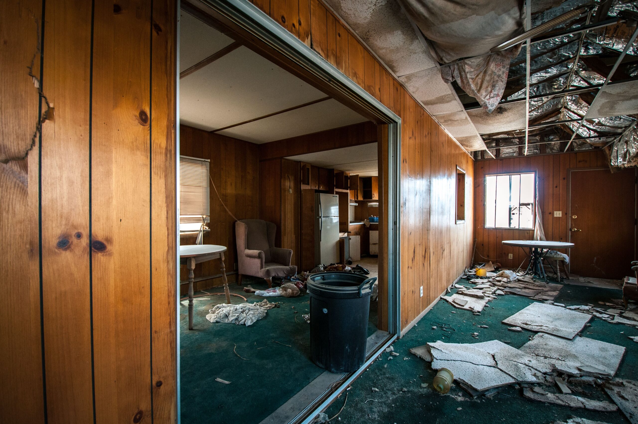 affordable mold removal Rancho Santa Fe, CA