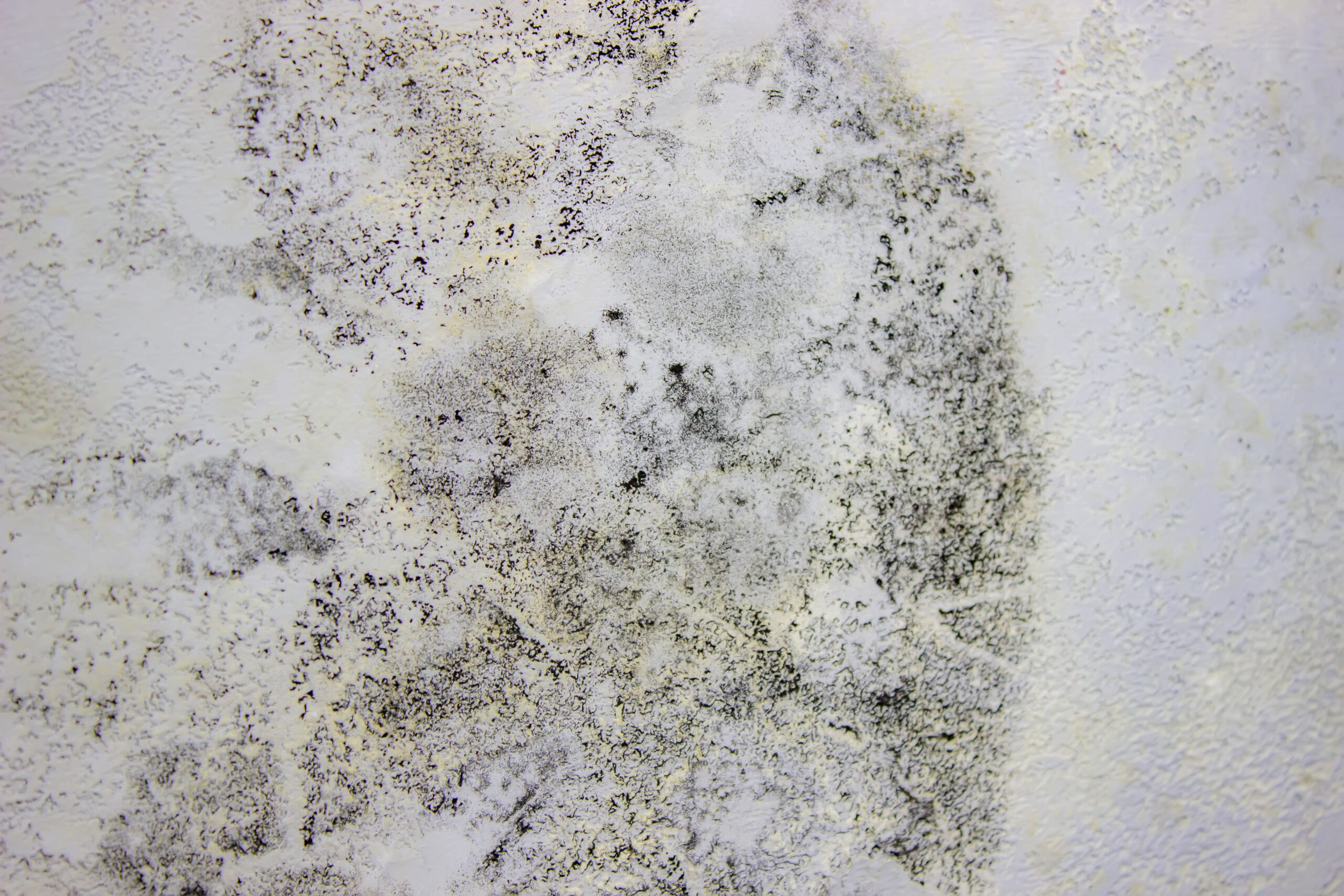 Gallery image 4 — insurance claim restoration Carlsbad, CA