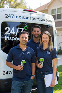 About emergency mold detection near me