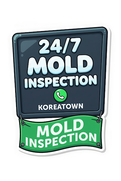 Gallery image 1 — emergency mold detection near me