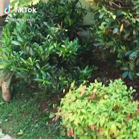 Gallery image 4 — lawn care Atlanta