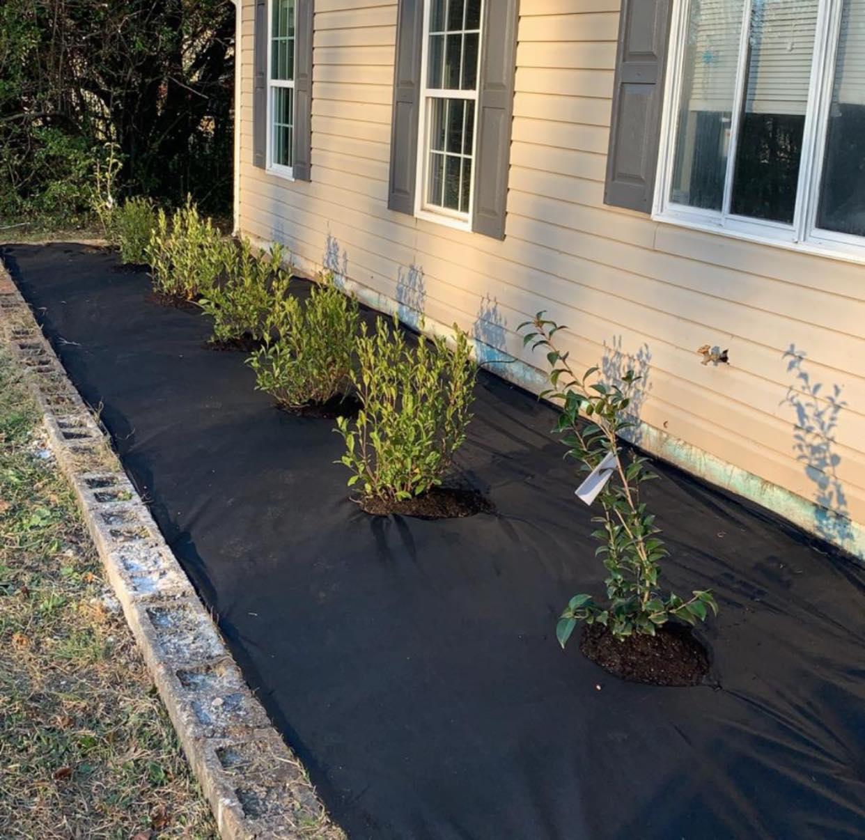 Gallery image 11 — Infantry Landscaping