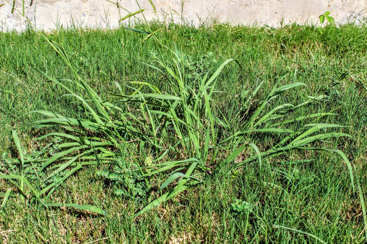 Gallery image 14 — Infantry Landscaping