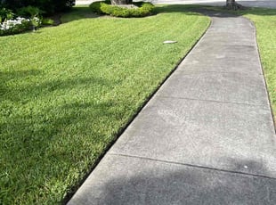 Gallery image 1 — LawnStarter Miami