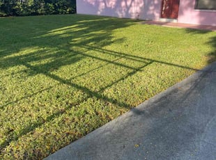 Gallery image 2 — LawnStarter Miami