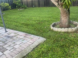 Gallery image 6 — LawnStarter Miami