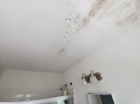Gallery image 5 — best mold removal experts in Santa Clara