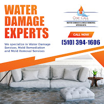 Gallery image 2 — best mold removal experts in Santa Clara