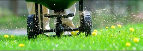 Gallery image 1 — affordable lawn maintenance Atlanta