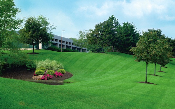 Gallery image 2 — affordable lawn maintenance Atlanta