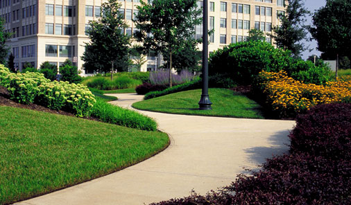 Gallery image 3 — affordable lawn maintenance Atlanta