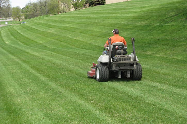 Gallery image 4 — affordable lawn maintenance Atlanta
