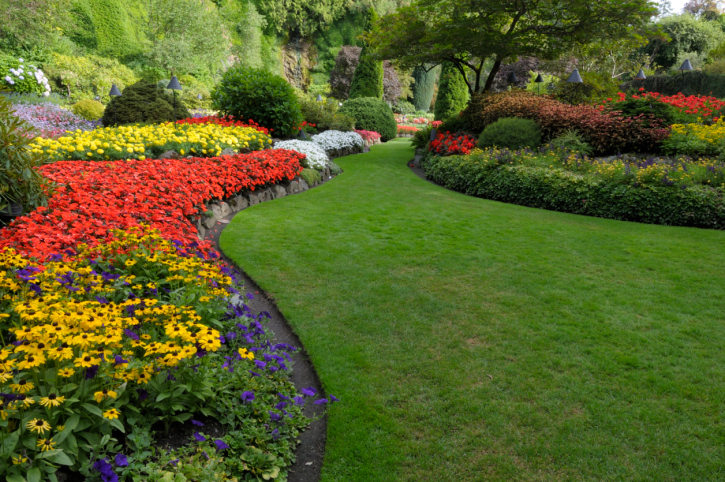 Gallery image 5 — affordable lawn maintenance Atlanta