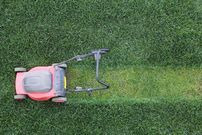 Gallery image 6 — affordable lawn maintenance Atlanta