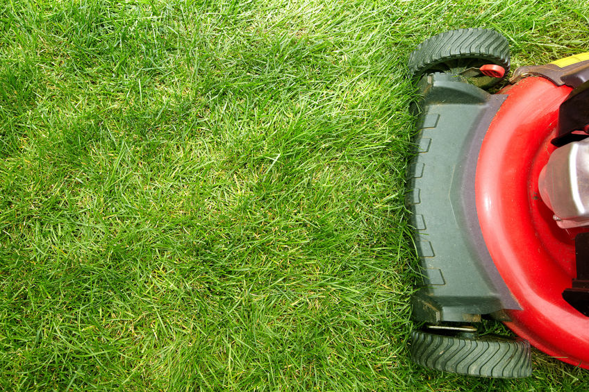 Gallery image 12 — affordable lawn maintenance Atlanta