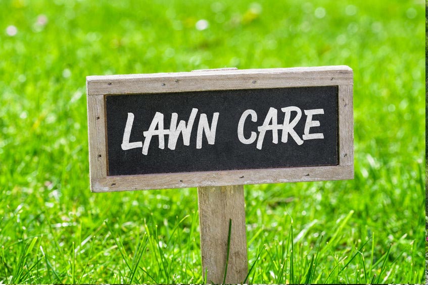 Gallery image 10 — affordable lawn maintenance Atlanta