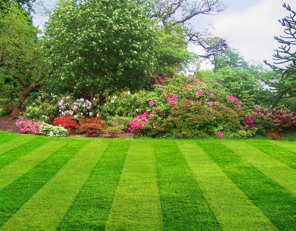 affordable lawn maintenance Atlanta