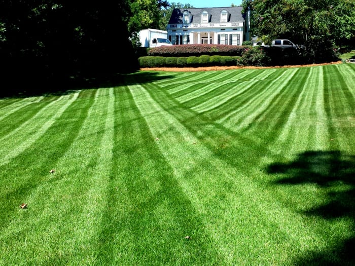 Gallery image 11 — Weaver Landscape