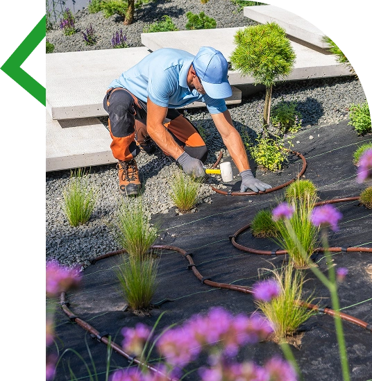 Gallery image 1 — Casino Tree Service and Landscaping LLC