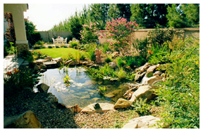 Gallery image 2 — irrigation repair Las Vegas