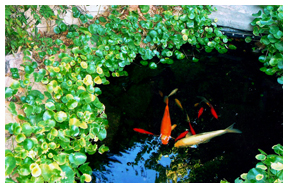 irrigation repair Las Vegas