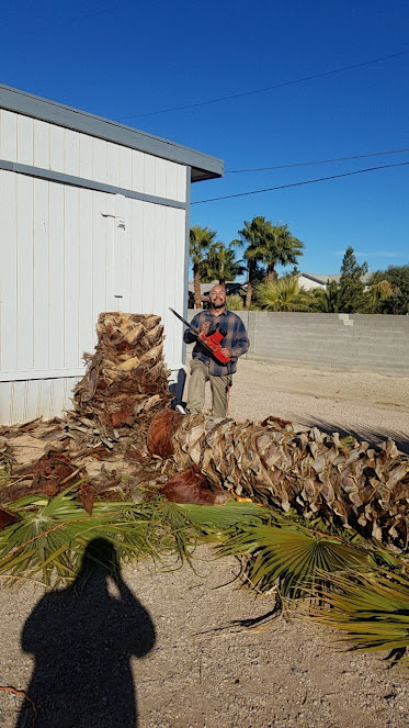 Gallery image 5 — Rick's Lawn Maintenance & Handcrafted Artificial Grass Decor