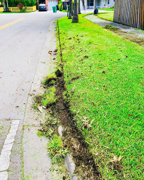 Gallery image 1 — Green Thumbs Lawn Services