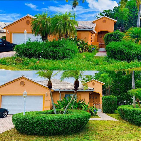 Gallery image 4 — Green Thumbs Lawn Services