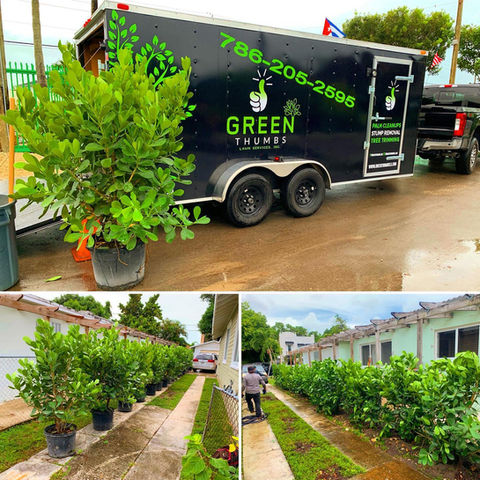Gallery image 5 — Green Thumbs Lawn Services